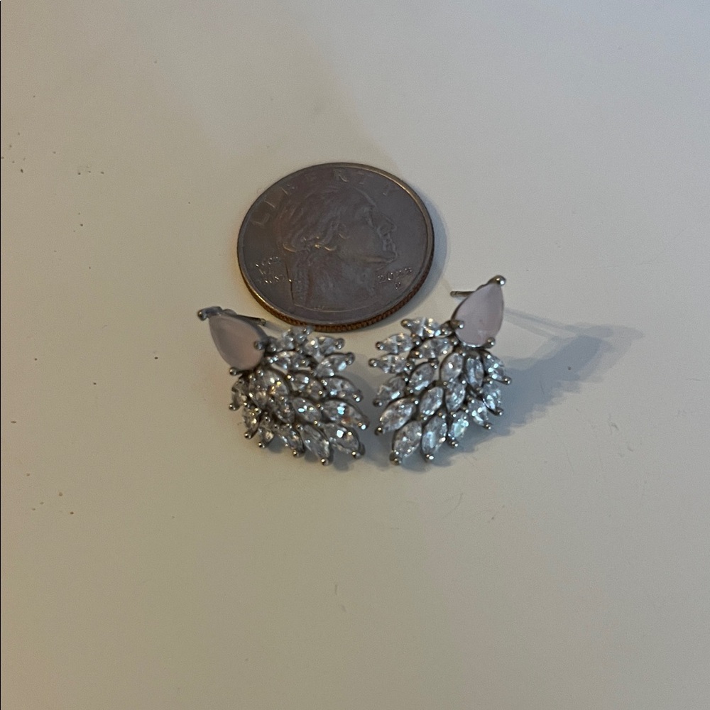 Anthropologie Silver Leaf Earrings